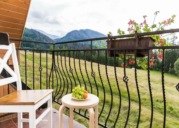 Tatrzanskie Ustronie 民宿 *