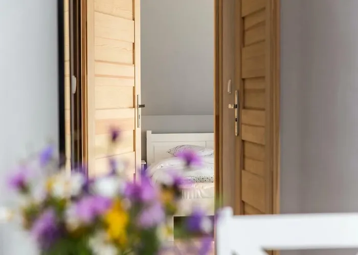 民宿 Tatrzanskie Ustronie 扎科帕内