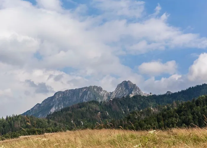 Tatrzanskie Ustronie 民宿 扎科帕内