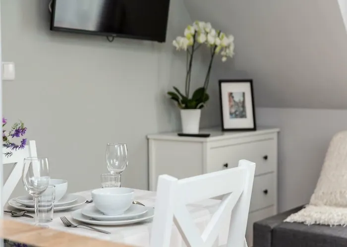 民宿 Tatrzanskie Ustronie 扎科帕内