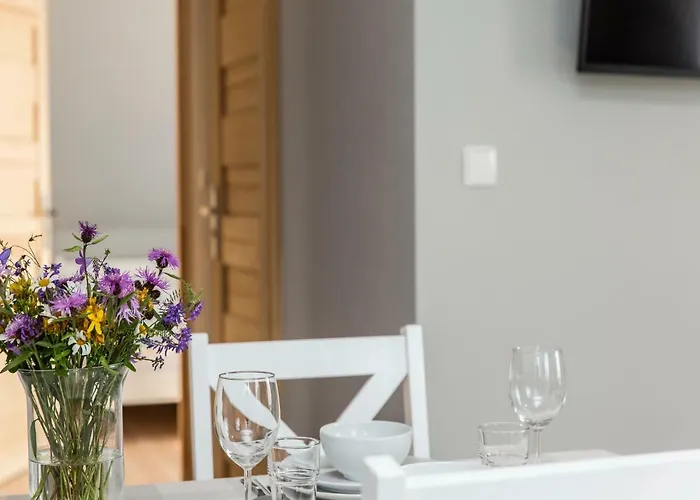 Tatrzanskie Ustronie 民宿 扎科帕内