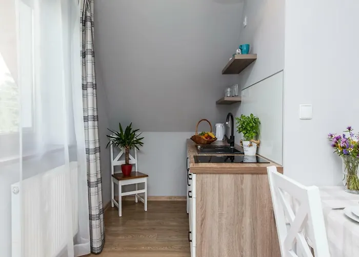 民宿 Tatrzanskie Ustronie *